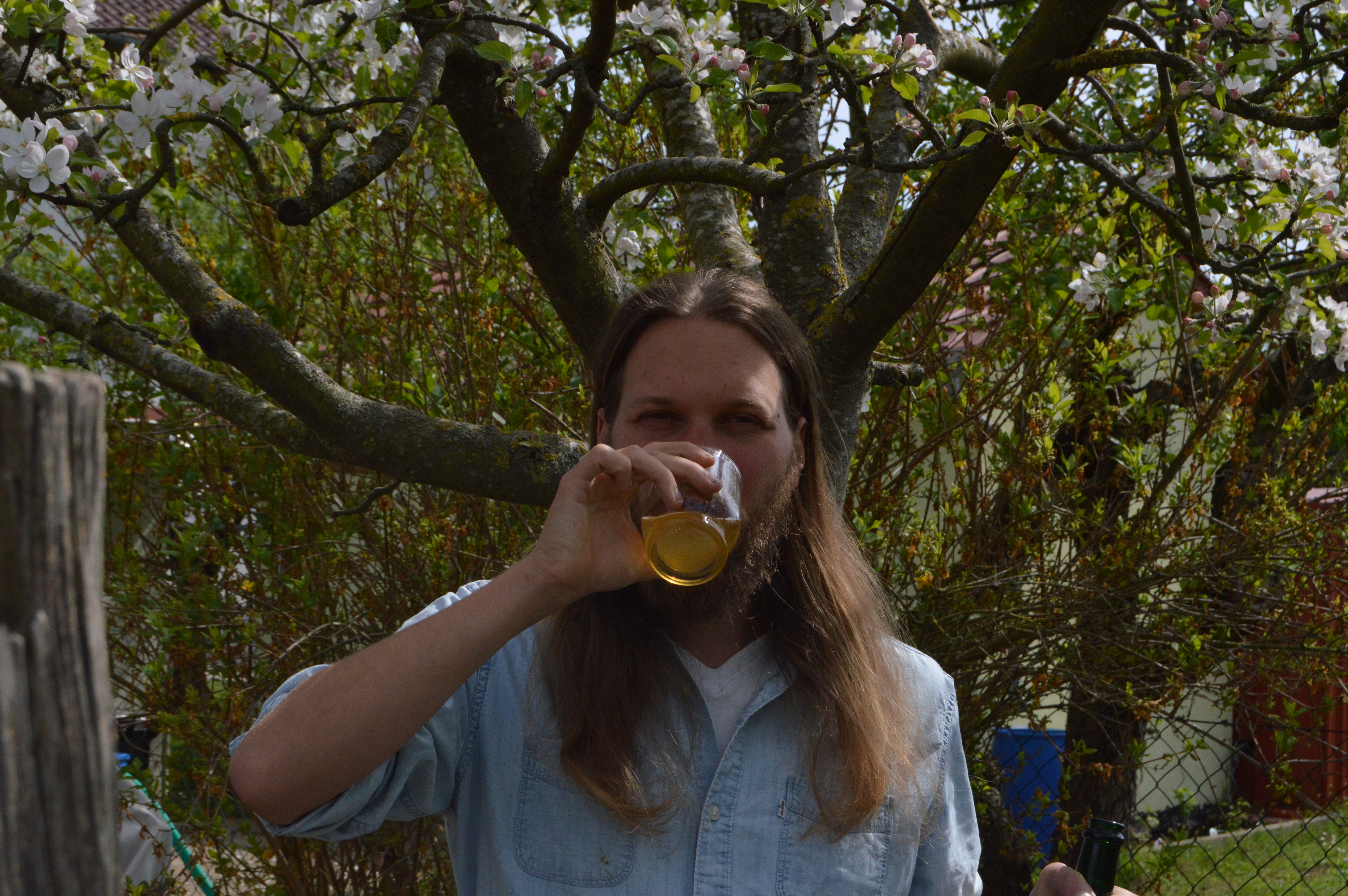 Me drinking Cider under an apple tree