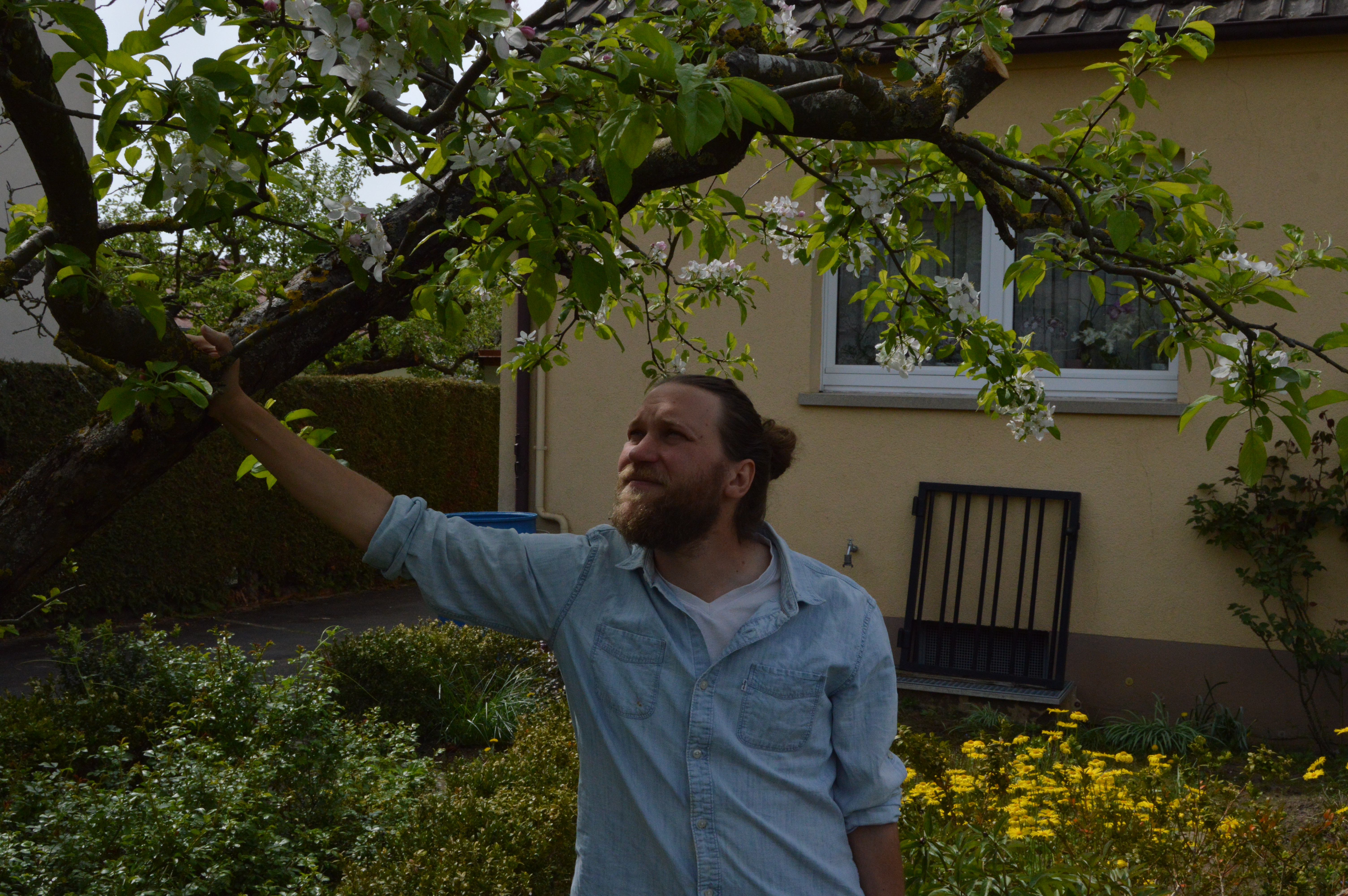 Me under an apple tree